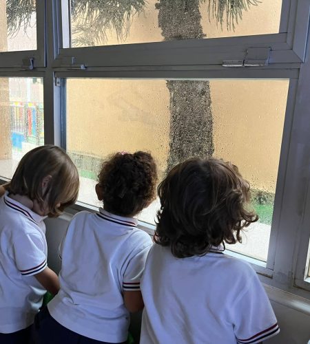 La educación emocional